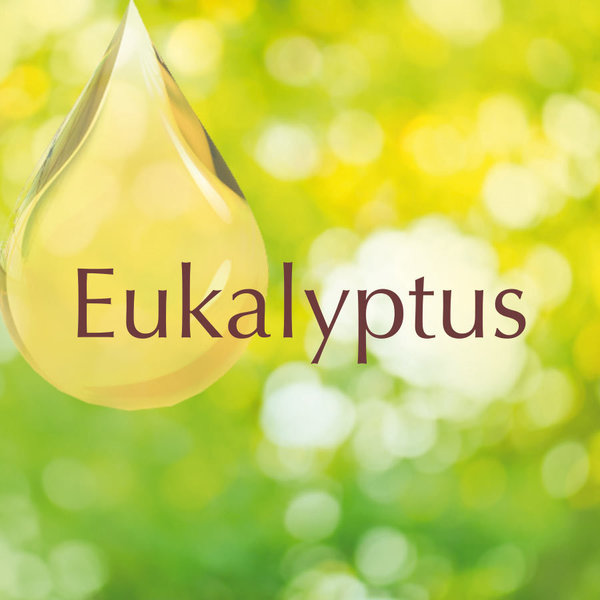 Eukalyptus, 10ml