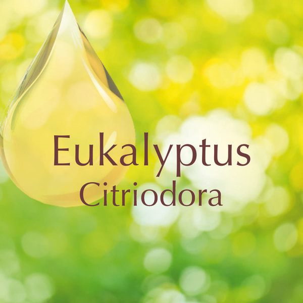 Eukalyptus Citriodora, 10ml