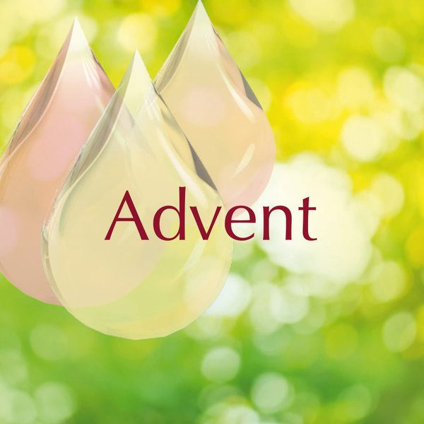 Advent, 10ml